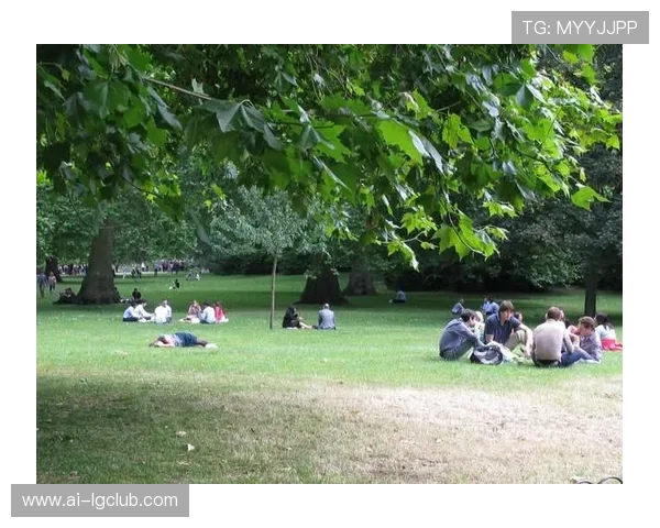 全面解析大雁足球培训机构教学质量与未来发展前景究竟如何深度剖析